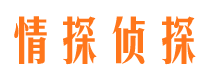 京山市调查公司